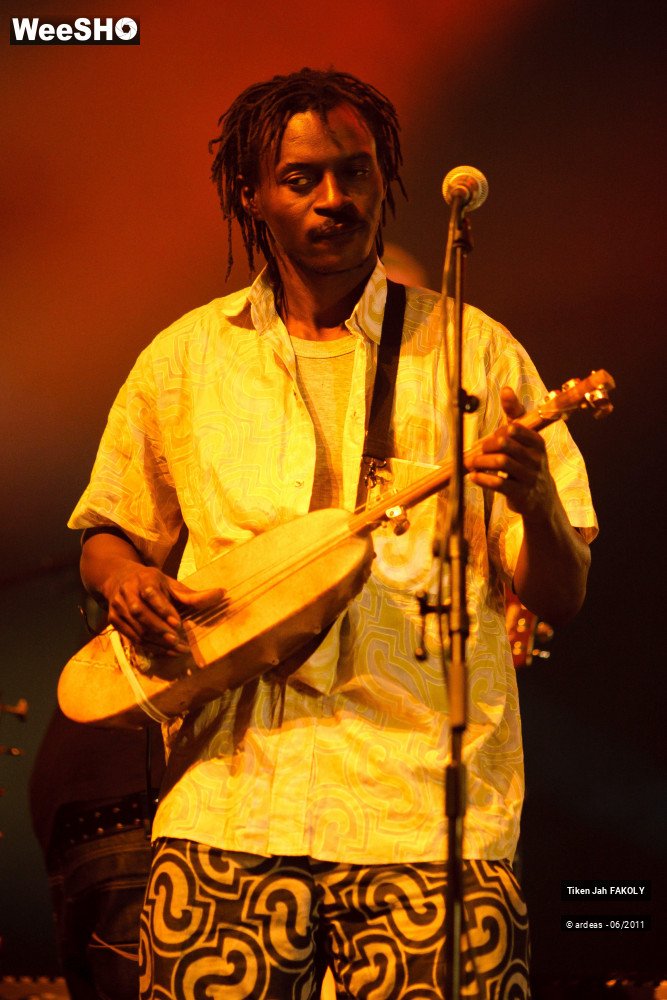 15/48 photos du spectacle Tiken Jah Fakoly