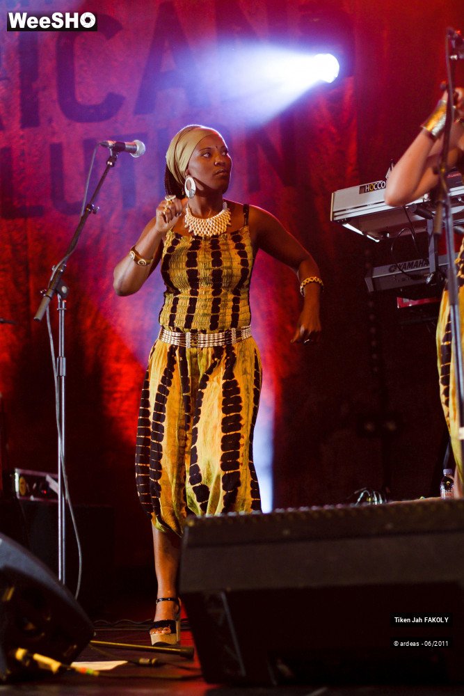 16/48 photos du spectacle Tiken Jah Fakoly