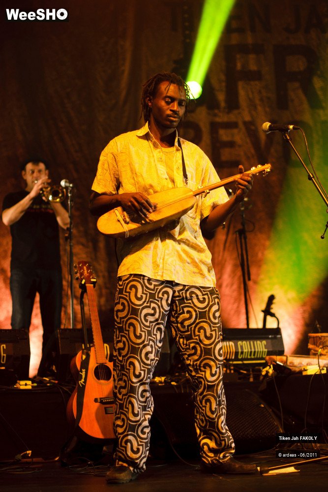 17/48 photos du spectacle Tiken Jah Fakoly