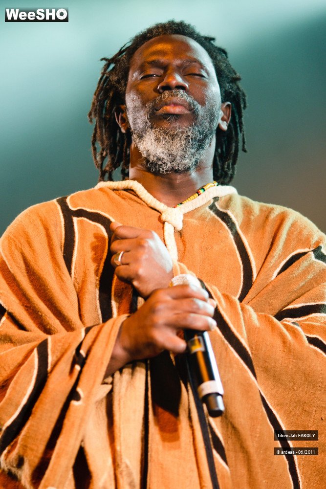 18/48 photos du spectacle Tiken Jah Fakoly