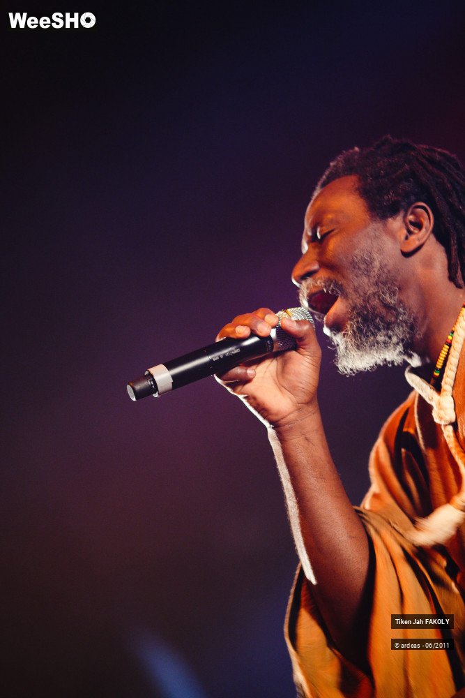 19/48 photos du spectacle Tiken Jah Fakoly