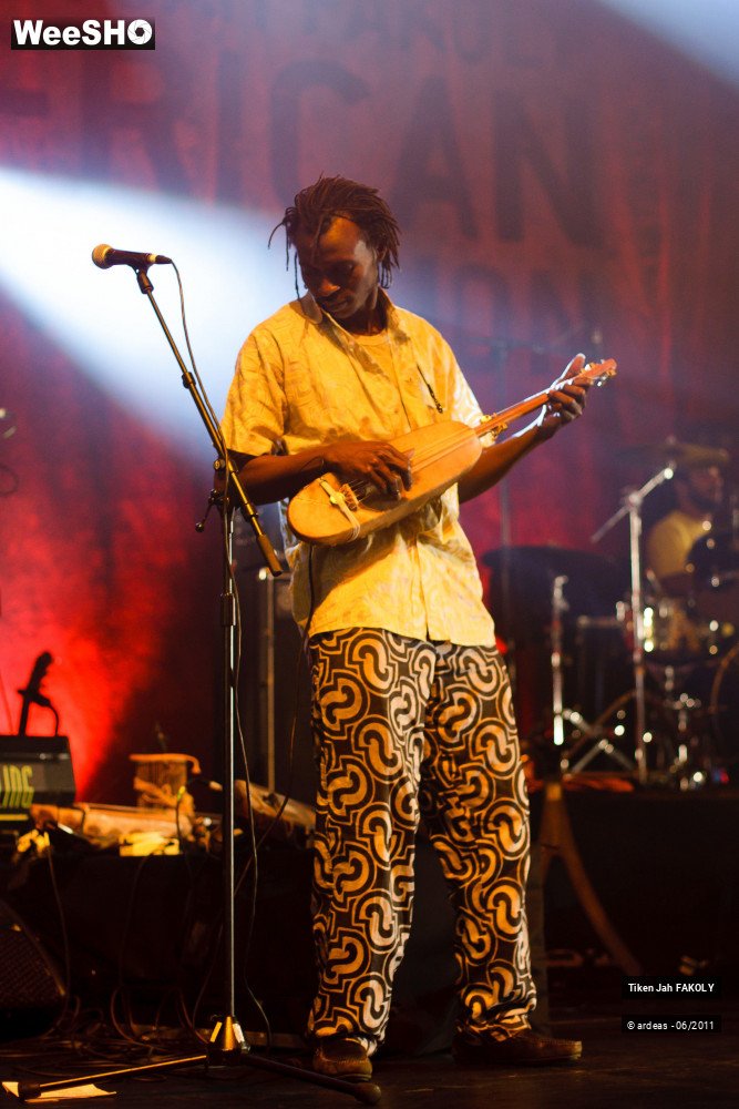 25/48 photos du spectacle Tiken Jah Fakoly