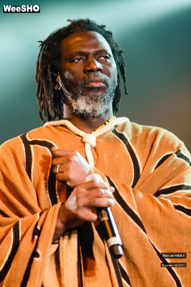 26/48 photos du spectacle Tiken Jah Fakoly