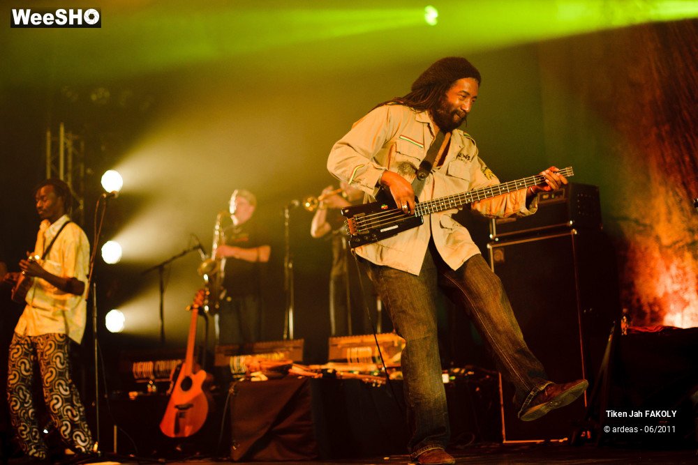 29/48 photos du spectacle Tiken Jah Fakoly