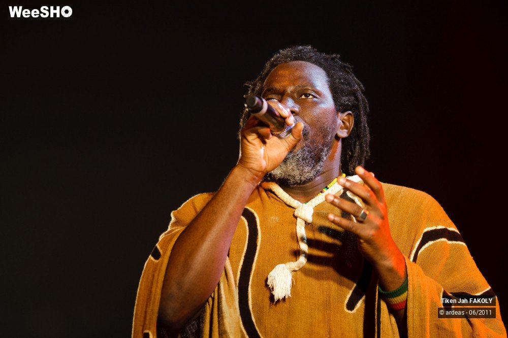 30/48 photos du spectacle Tiken Jah Fakoly