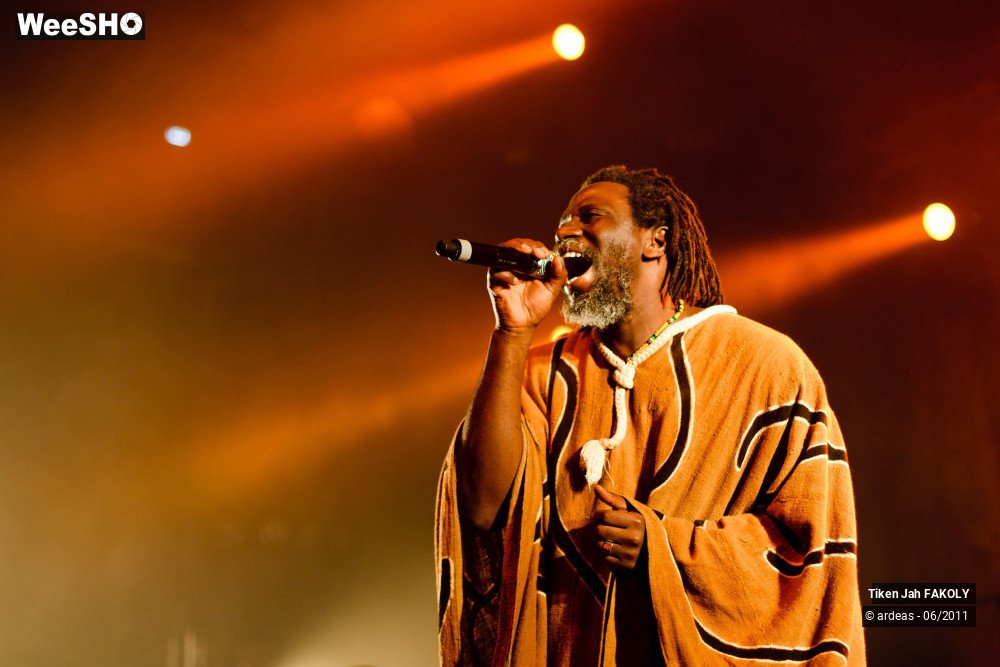 31/48 photos du spectacle Tiken Jah Fakoly