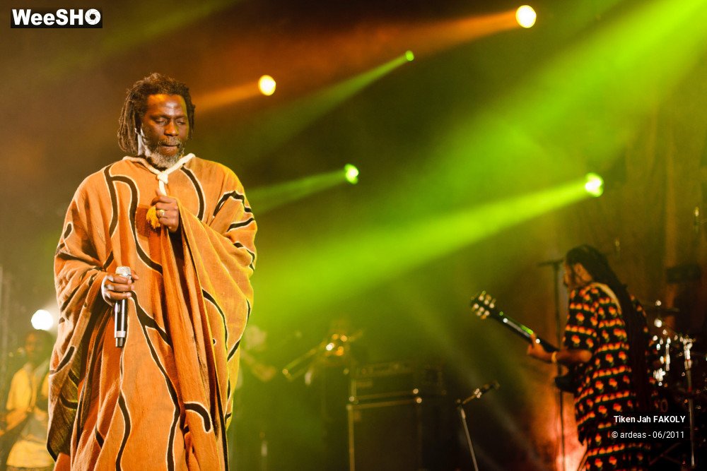 33/48 photos du spectacle Tiken Jah Fakoly