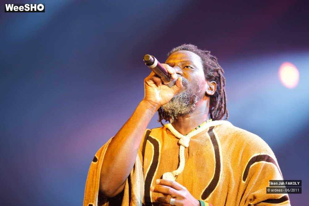 35/48 photos du spectacle Tiken Jah Fakoly
