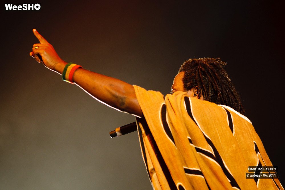 37/48 photos du spectacle Tiken Jah Fakoly