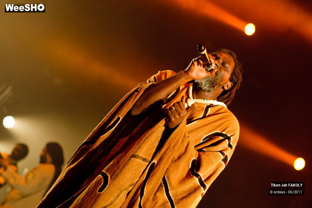 38/48 photos du spectacle Tiken Jah Fakoly