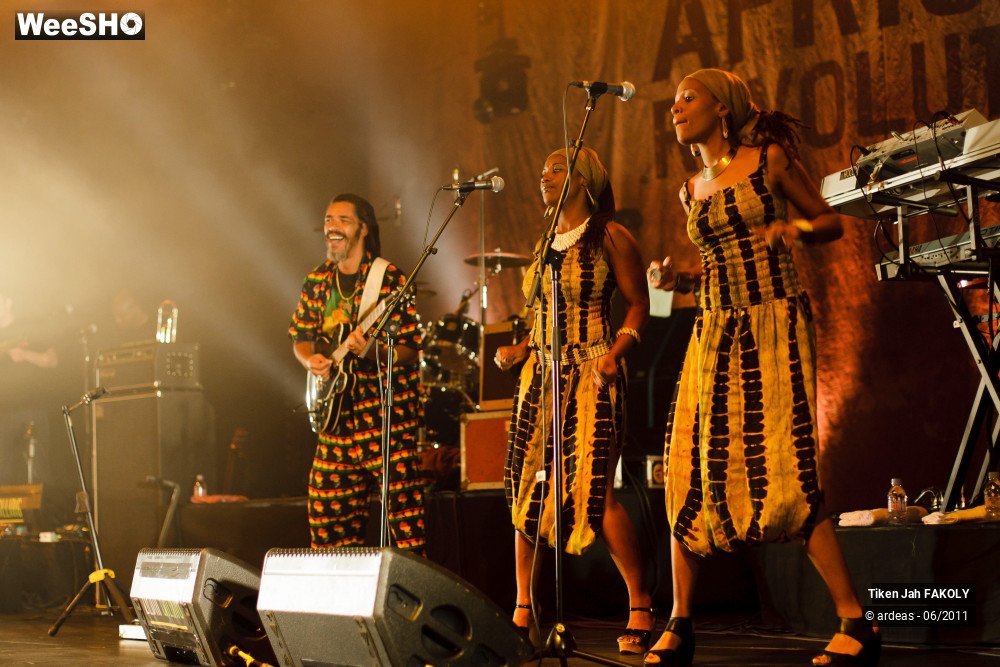 47/48 photos du spectacle Tiken Jah Fakoly