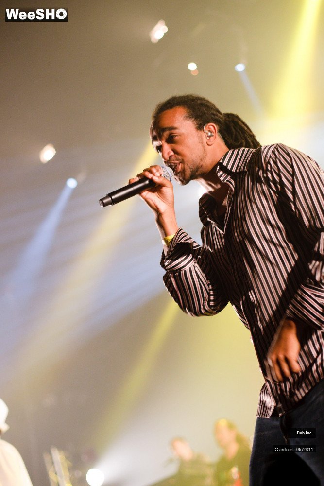 10/38 photos du spectacle Dub Inc.