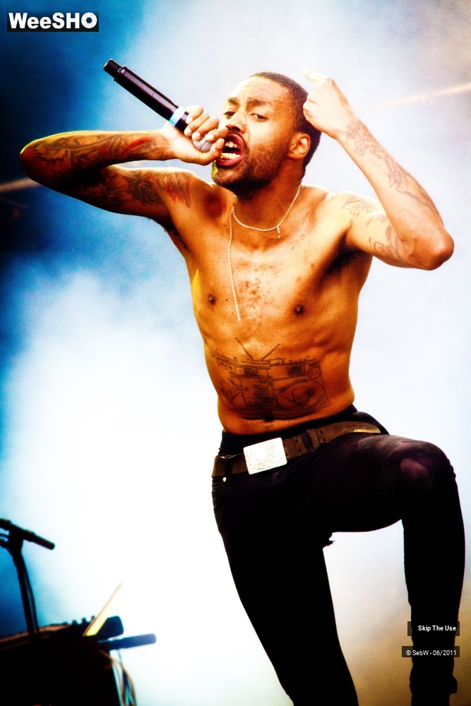 12/44 photos du spectacle Skip The Use