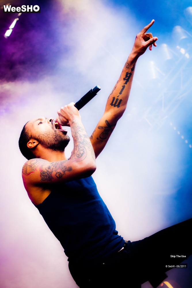 24/44 photos du spectacle Skip The Use