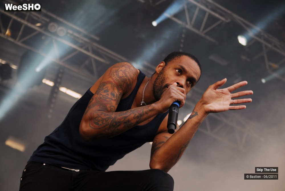 10/50 photos du spectacle Skip The Use