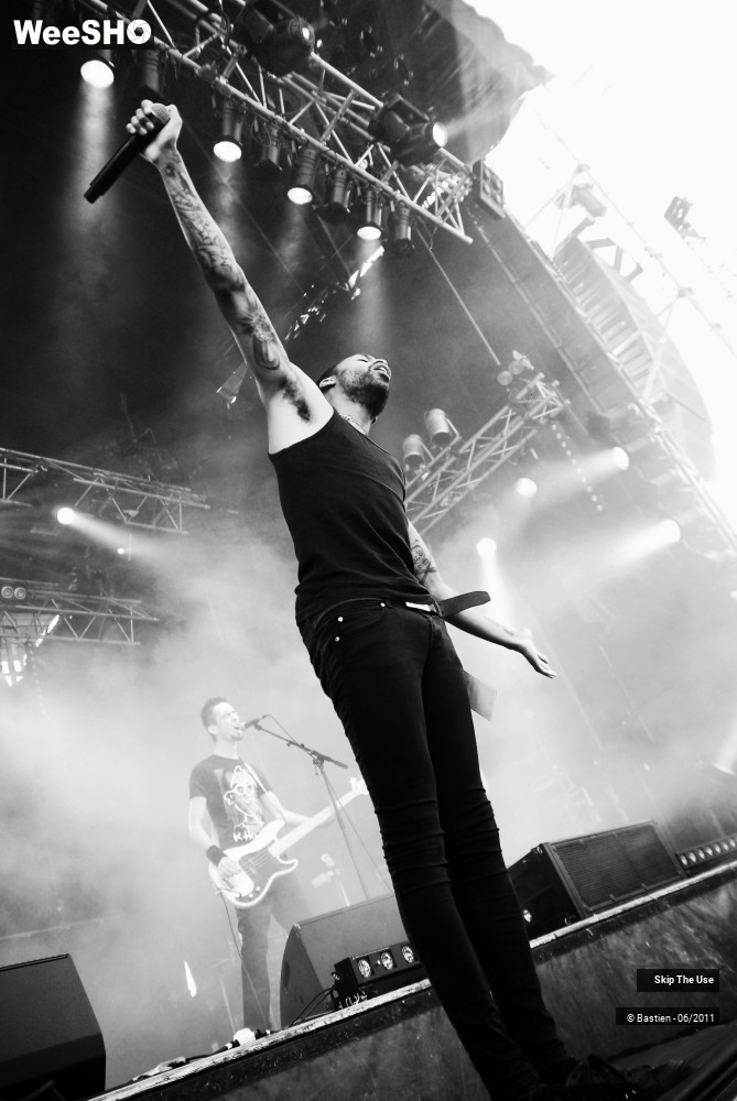 15/50 photos du spectacle Skip The Use