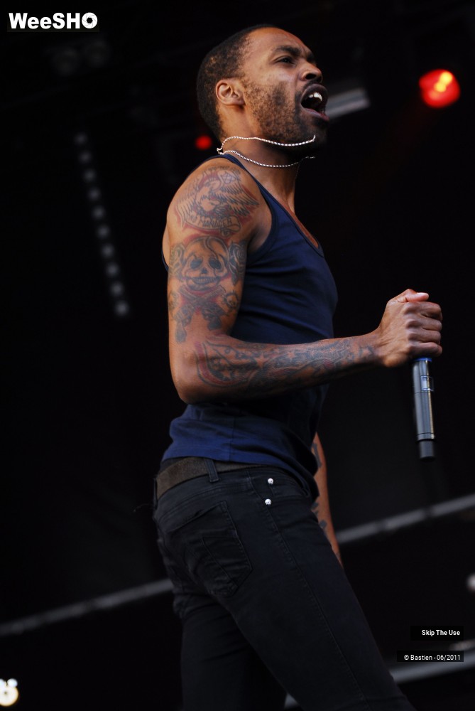 24/50 photos du spectacle Skip The Use