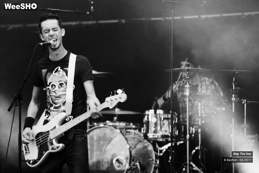 32/50 photos du spectacle Skip The Use