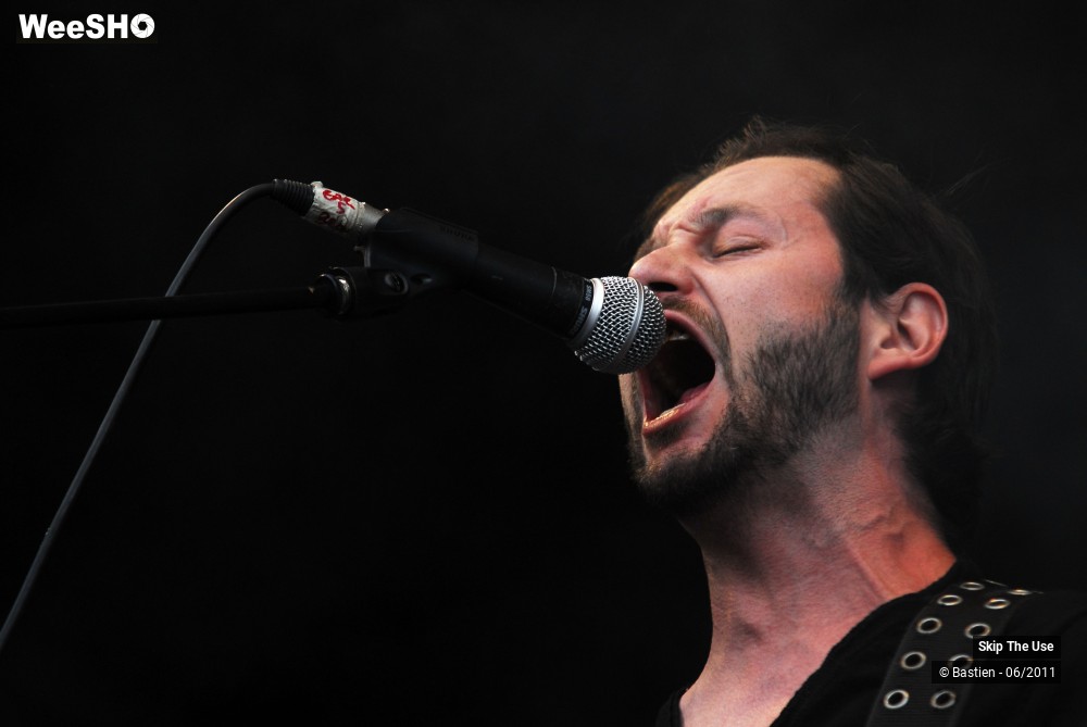 38/50 photos du spectacle Skip The Use