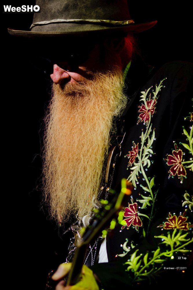 42/42 photos du spectacle ZZ Top