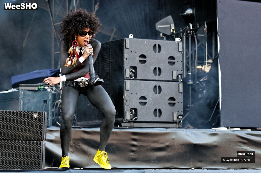 2/50 photos du spectacle Shaka Ponk