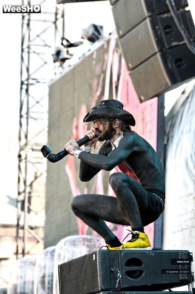 27/50 photos du spectacle Shaka Ponk