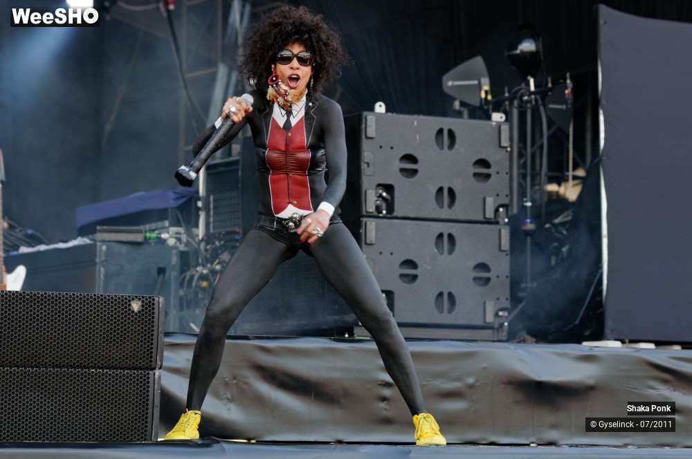 37/50 photos du spectacle Shaka Ponk