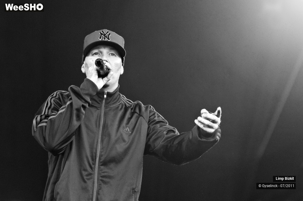 1/31 photos du spectacle Limp Bizkit