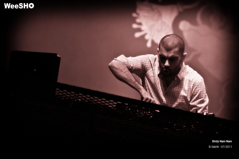 1/18 photos du spectacle Birdy Nam Nam