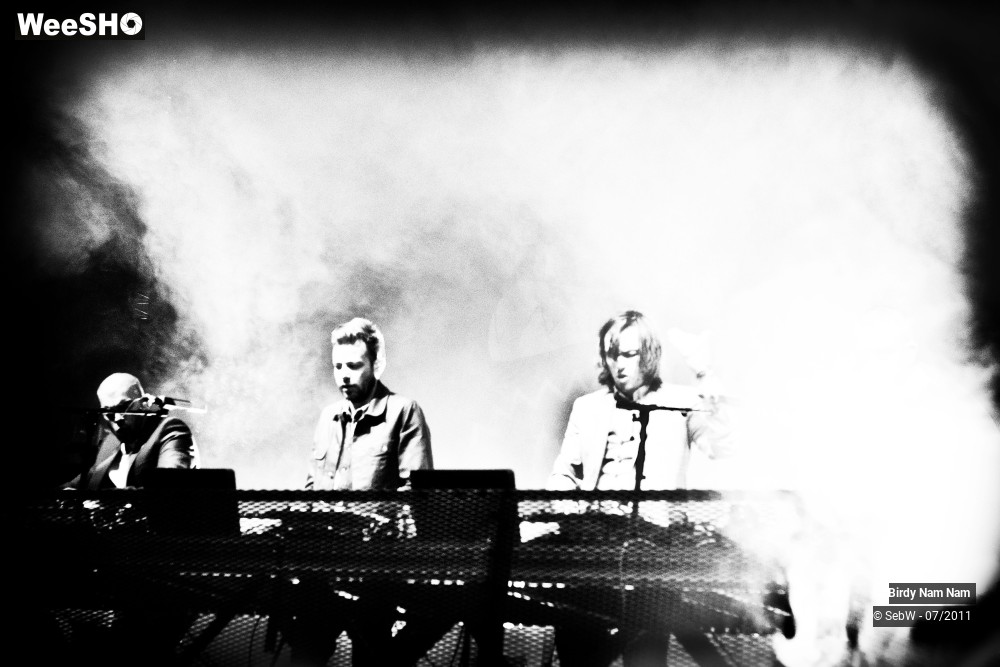 4/18 photos du spectacle Birdy Nam Nam