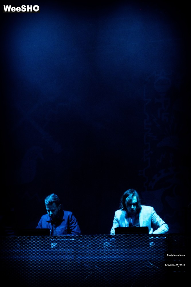 6/18 photos du spectacle Birdy Nam Nam