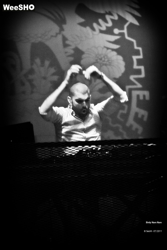 8/18 photos du spectacle Birdy Nam Nam