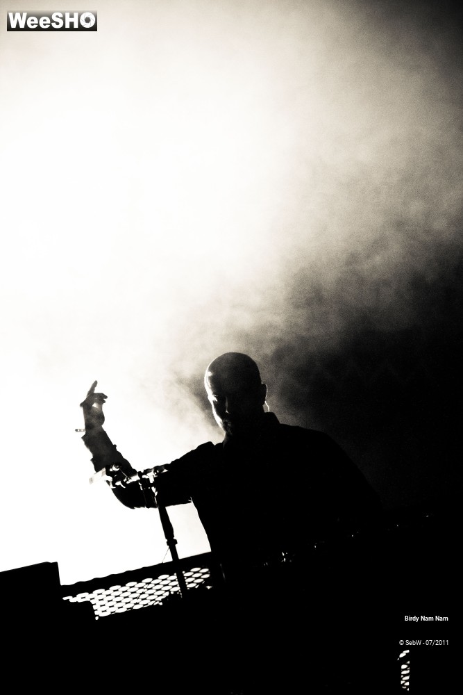 10/18 photos du spectacle Birdy Nam Nam