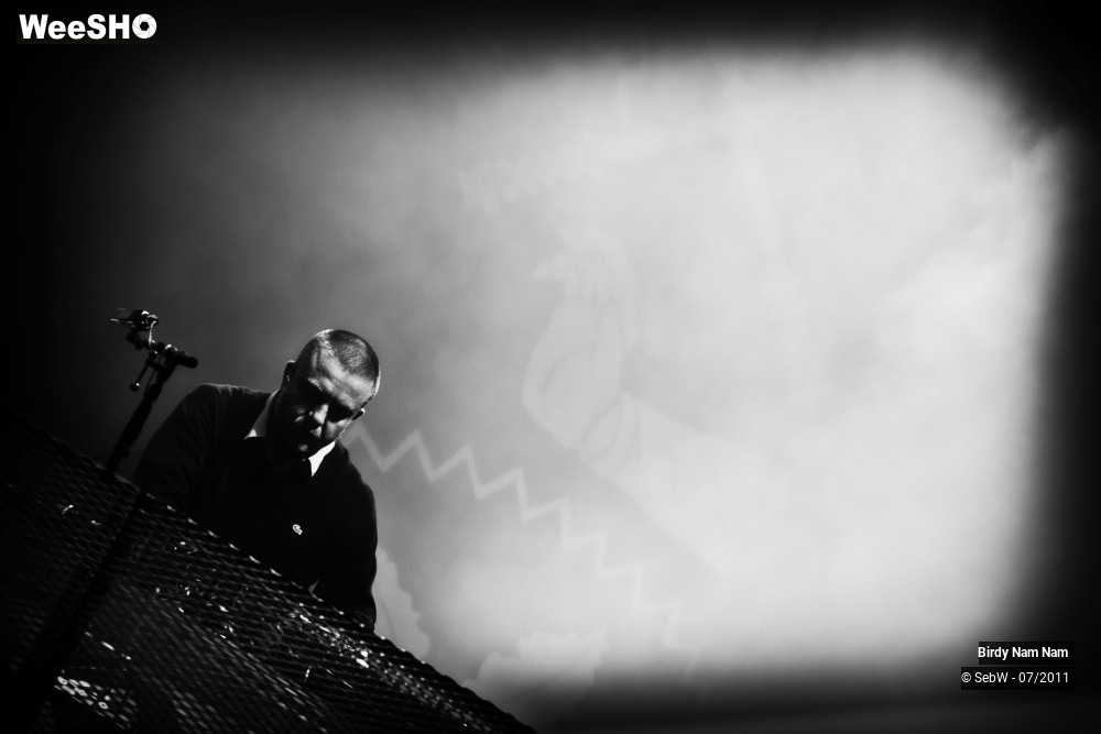 13/18 photos du spectacle Birdy Nam Nam