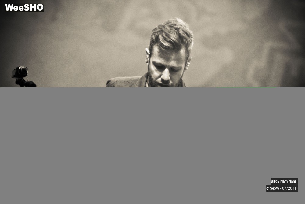 16/18 photos du spectacle Birdy Nam Nam