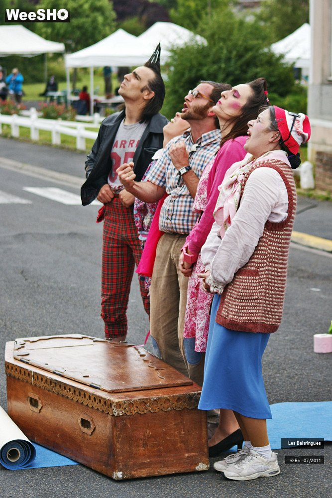 2/45 photos du spectacle La Famille Baltringues