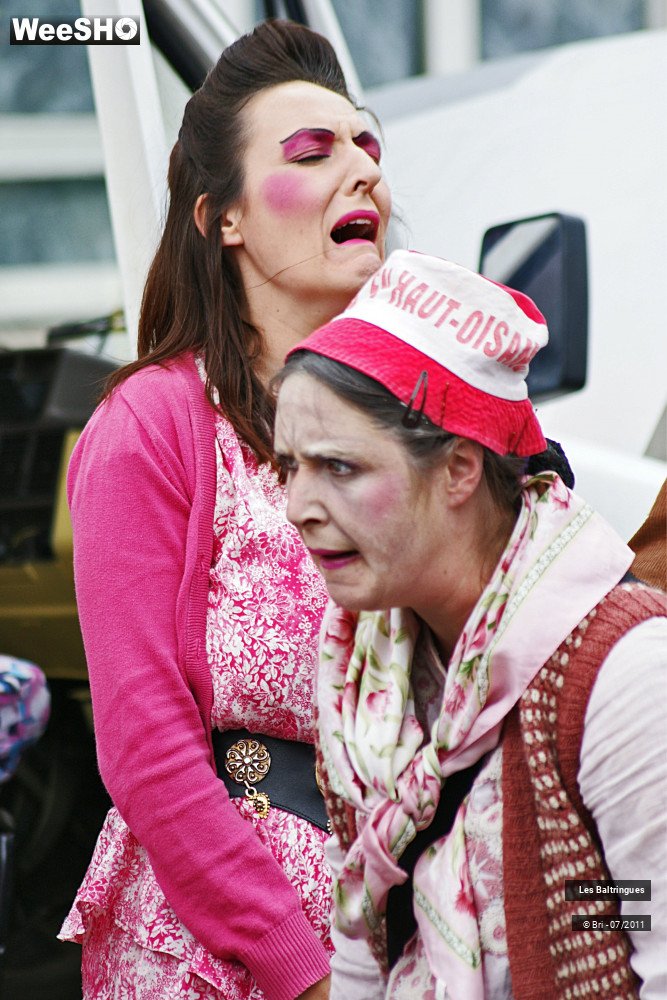 5/45 photos du spectacle La Famille Baltringues