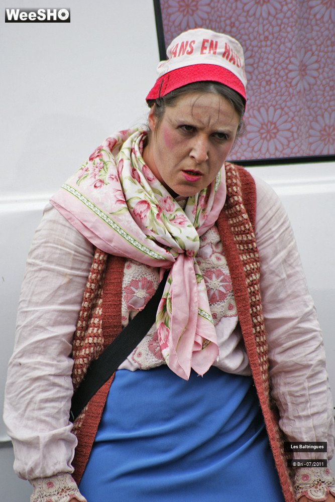 11/45 photos du spectacle La Famille Baltringues