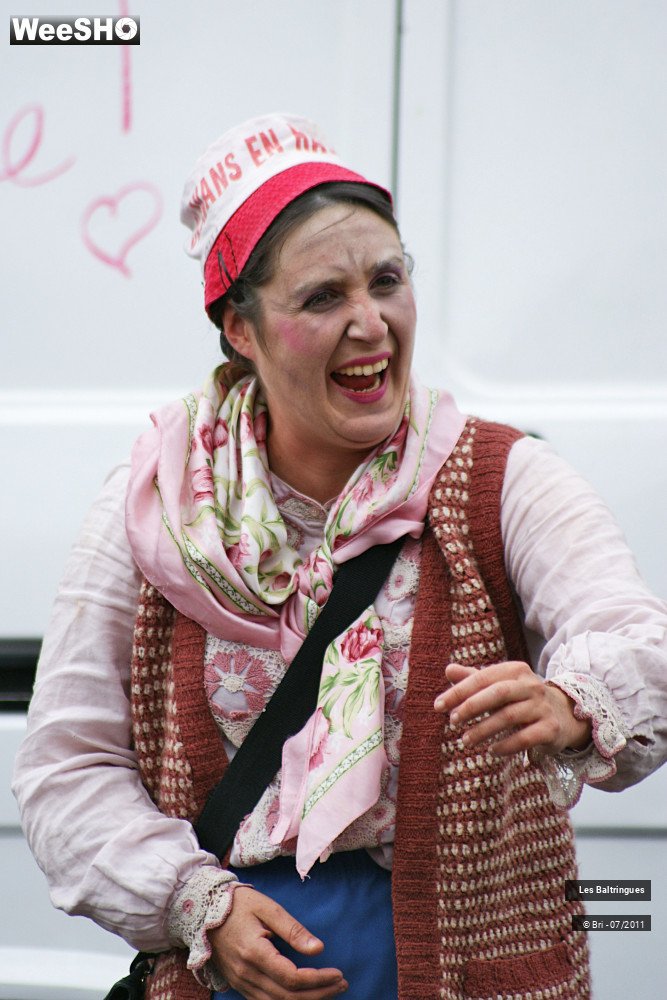 17/45 photos du spectacle La Famille Baltringues