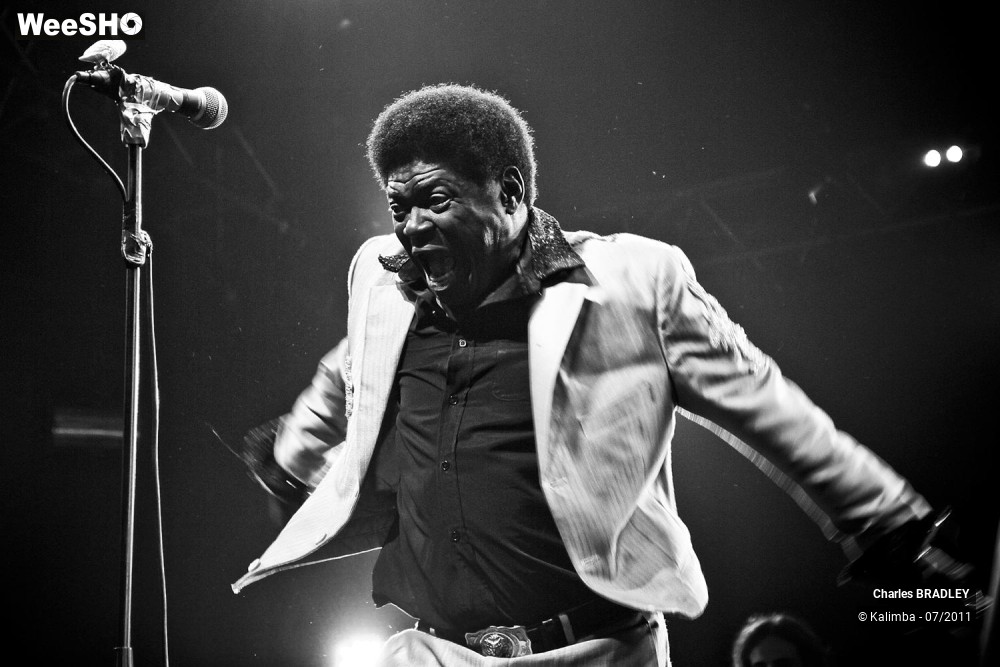 2/7 photos du spectacle Charles BRADLEY