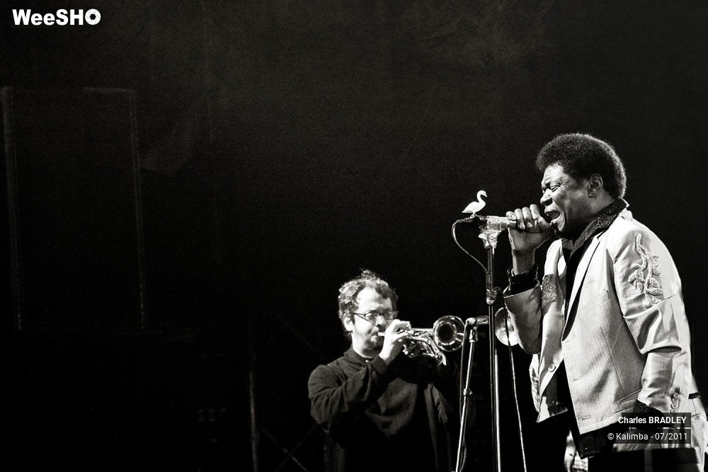 3/7 photos du spectacle Charles BRADLEY