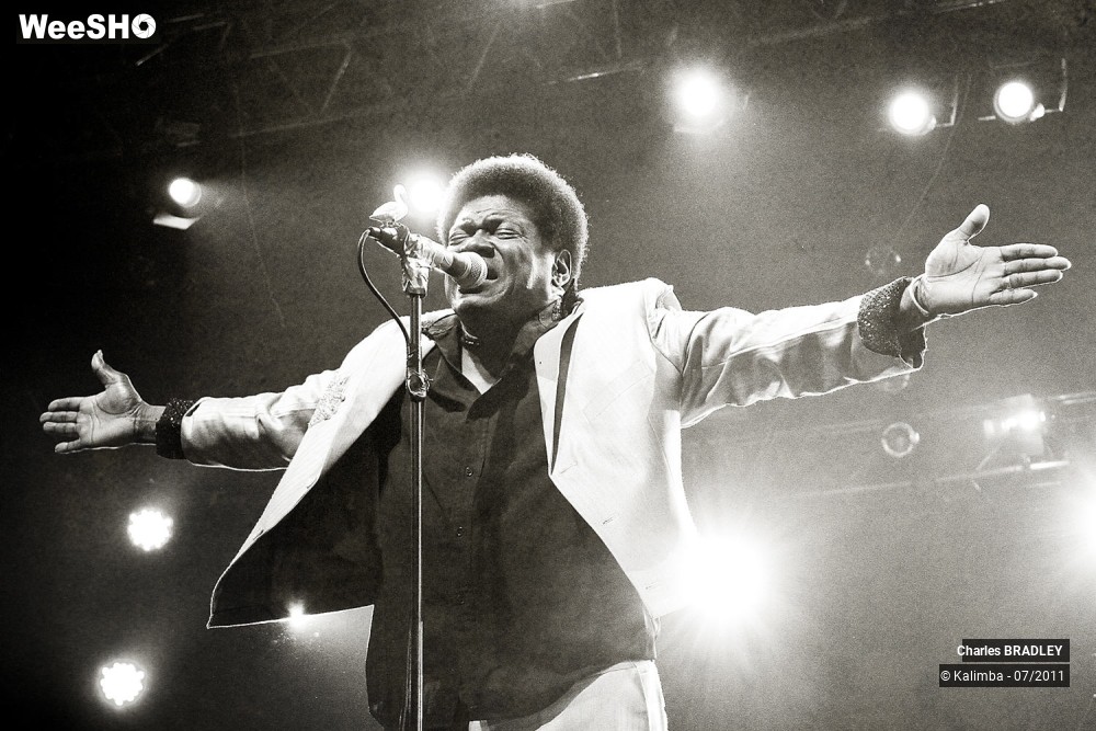 4/7 photos du spectacle Charles BRADLEY