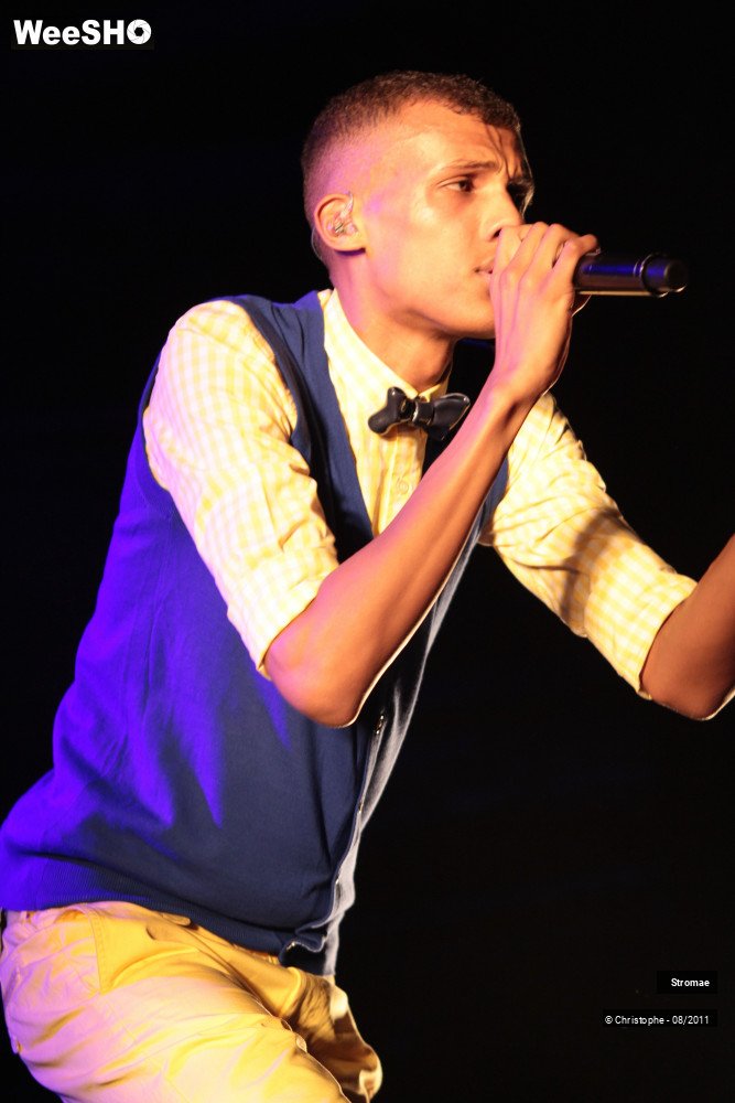 20/26 photos du spectacle Stromae