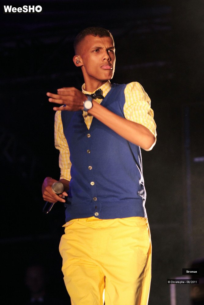 21/26 photos du spectacle Stromae