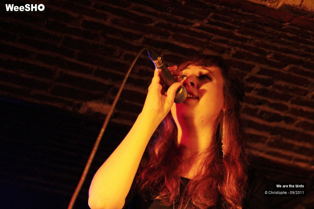 4/25 photos du spectacle We are the birds