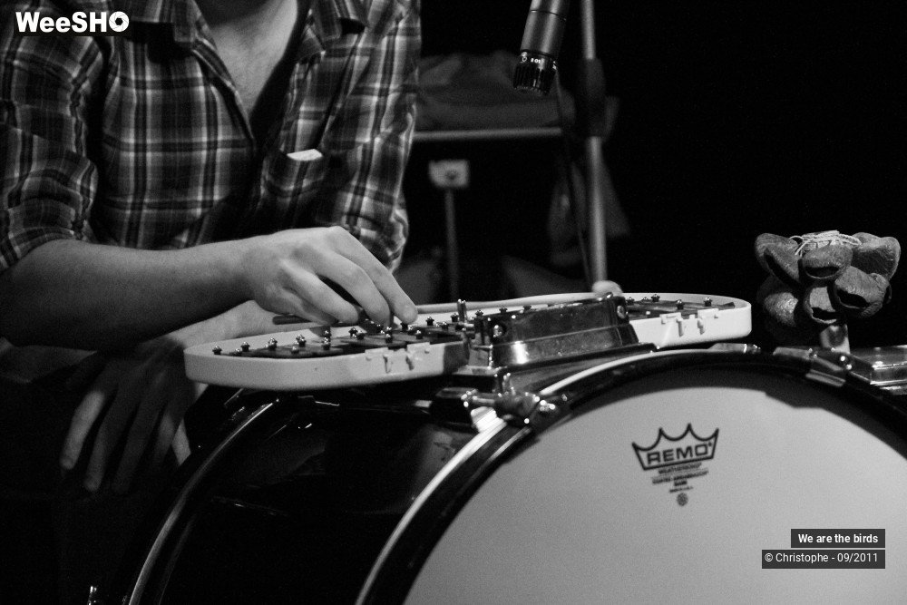 10/25 photos du spectacle We are the birds