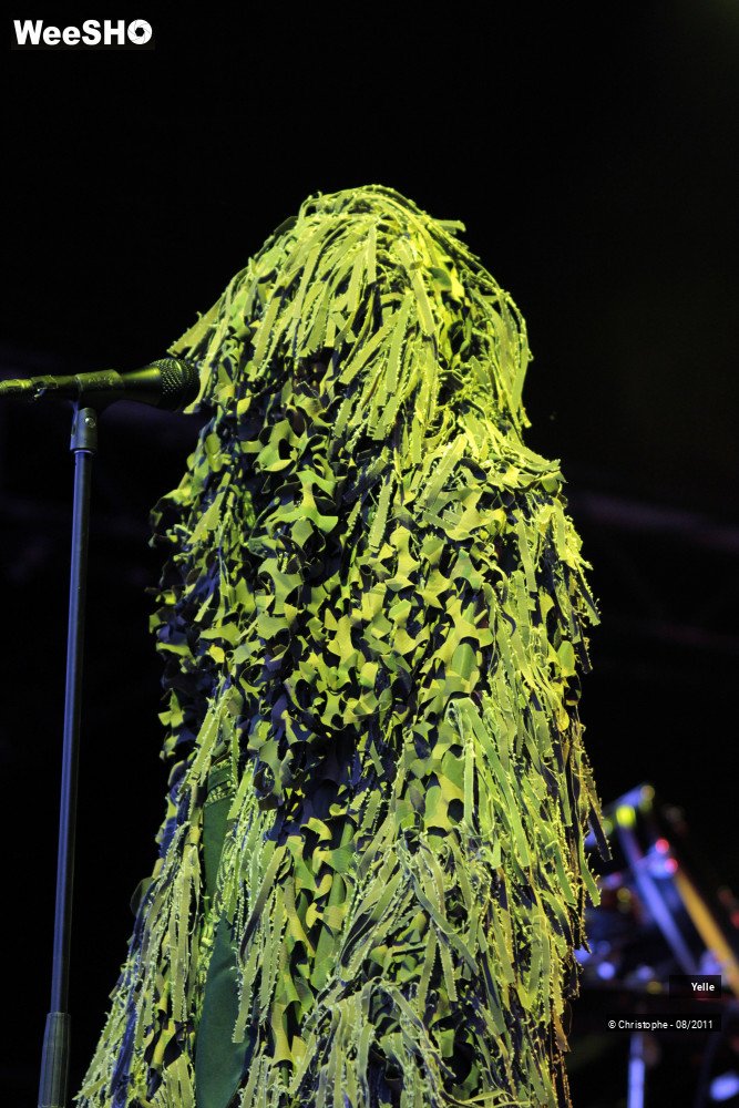 38/41 photos du spectacle Yelle