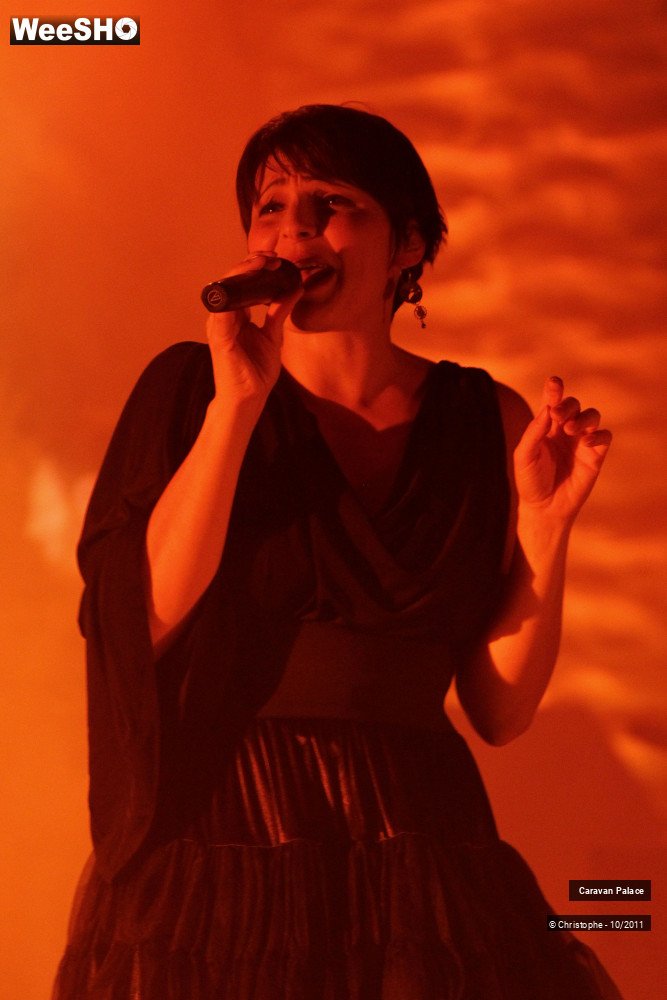 19/28 photos du spectacle Caravan Palace 