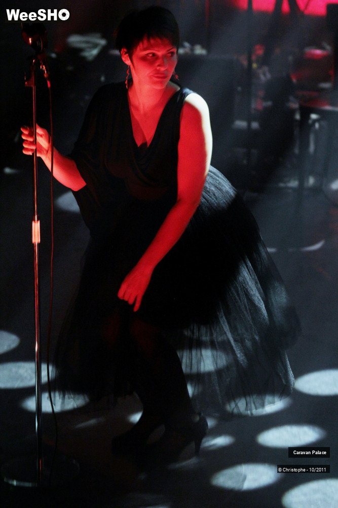 20/28 photos du spectacle Caravan Palace 