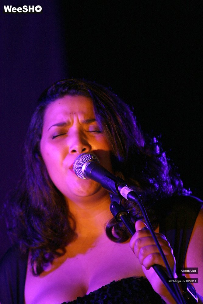 13/20 photos du spectacle Cotton Club